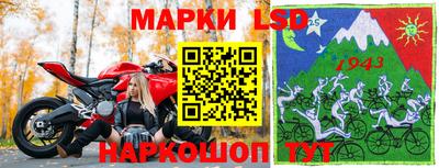 гидра Можга
