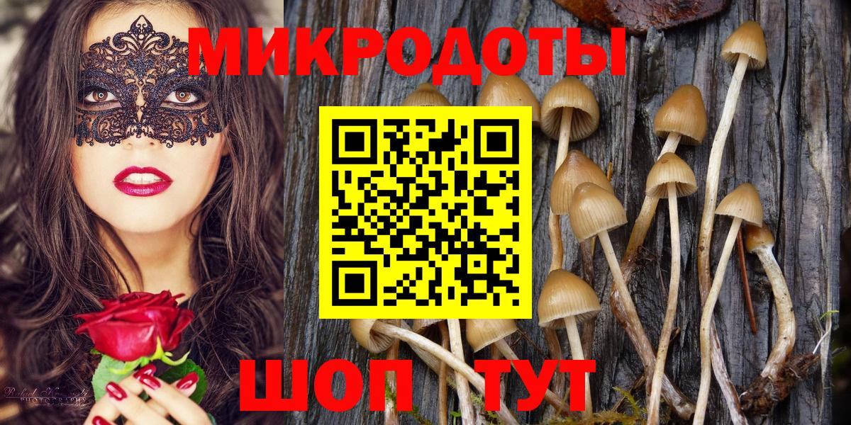 Псилоцибиновые грибы GOLDEN TEACHER Советск