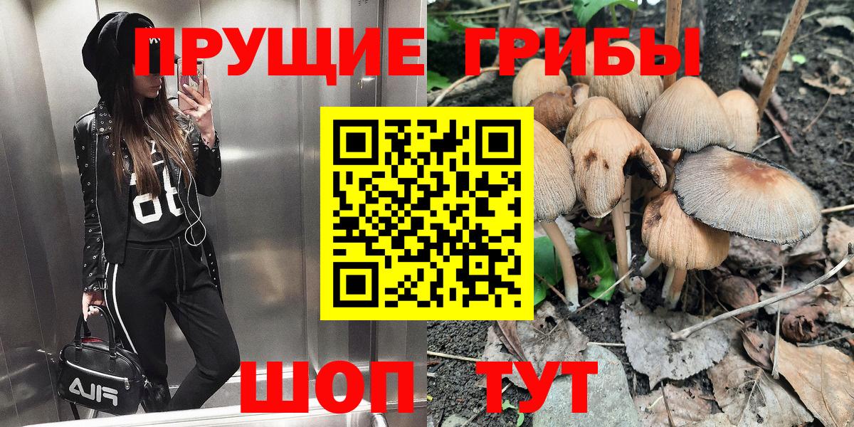 Советск  закладка  Вход с VPN  Псилоцибиновые грибы GOLDEN TEACHER 